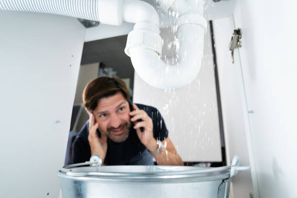 Best Clogged Drain Plumber  in Hayneville, AL