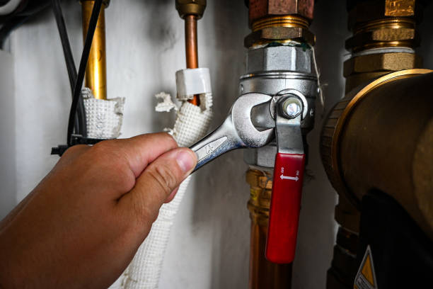 Best Best Plumbers Near Me  in Hayneville, AL